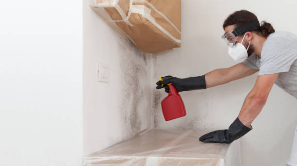 Professional Mold Removal technician working in Marlboro, NY